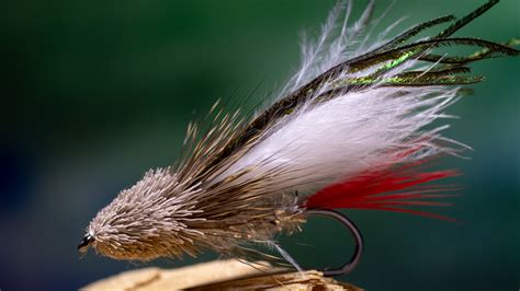 Streamer Fly Fishing