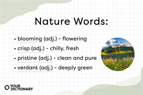 Su words in nature