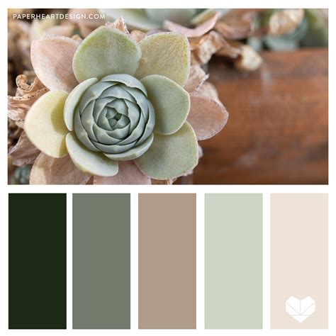 Succulent Color Palette 1