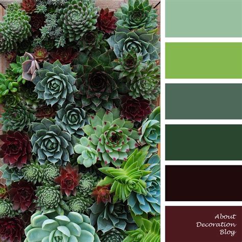 Succulent Color Palette 7