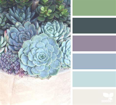 Succulent Color Palette 9