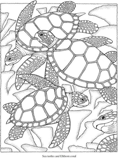 Summer coloring pages for adults