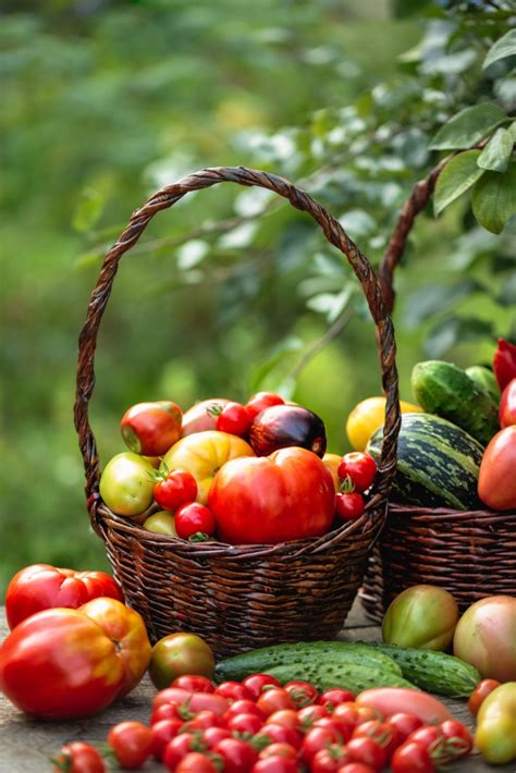 Warm yellows, oranges, and reds evoke the abundance and warmth of a summer harvest