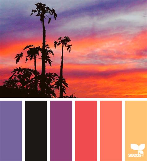 Summer Sunset Colors