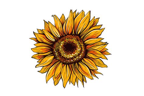 Sunflower Design Inspiration