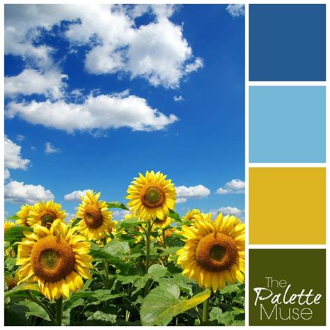 Sunflower Field Color Palette