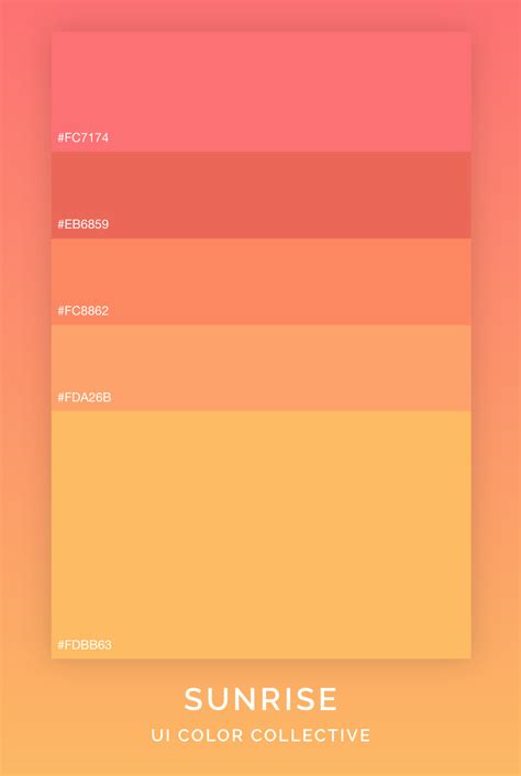 Sunrise Color Palette Inspiration