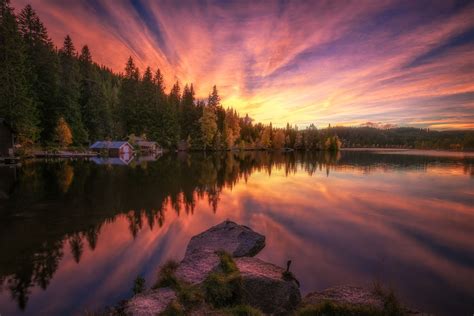 Sunset Forest Photography