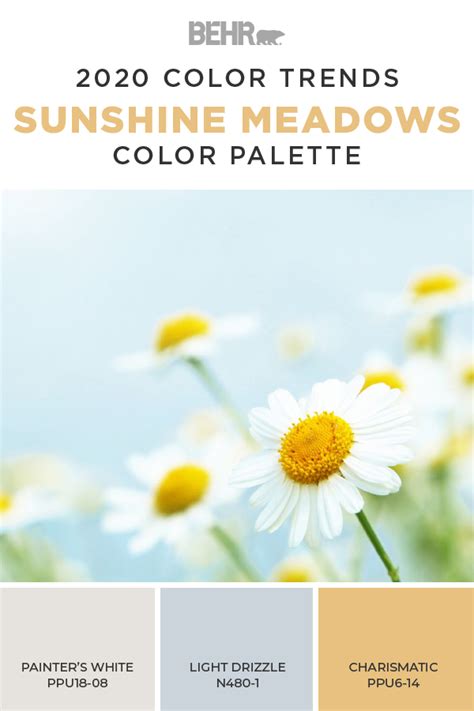 Sunshine Meadow Color Palette