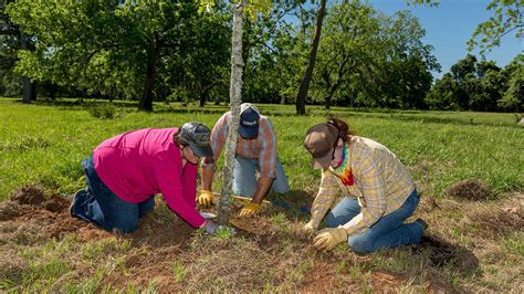 Supporting conservation efforts through the calendar