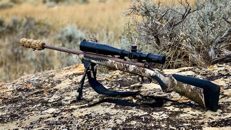 Advantages of Suppressed Shooting with Quick Detach Suppressors