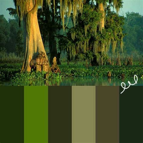 Swamp Color Palette 8