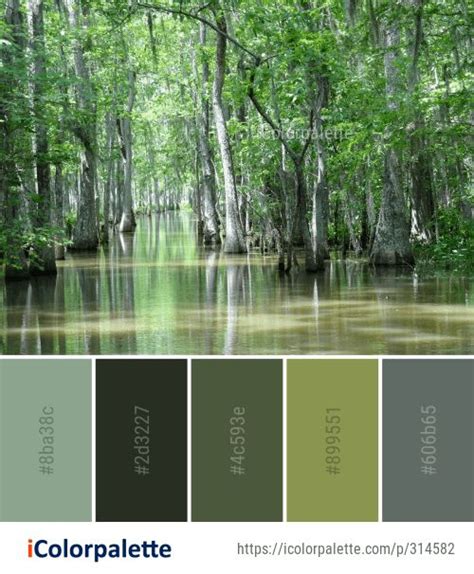 Swampy color palette