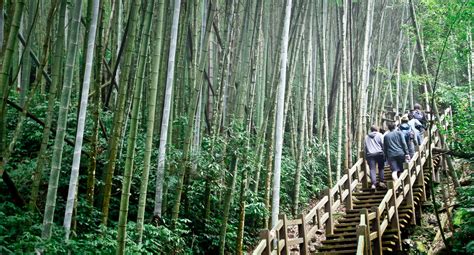 Hiking in Taiwan