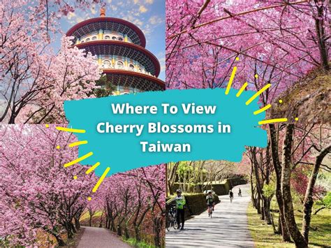 Taiwan Spring Delights