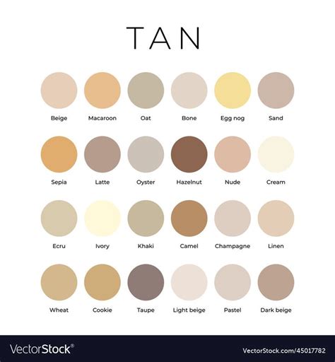 Tan Colour Palette 1