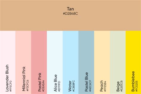 Tan Complementary Colour Palette