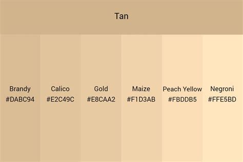 Tan Monochromatic Colour Palette