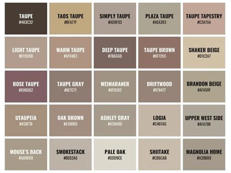 Taupe Neutral Colour