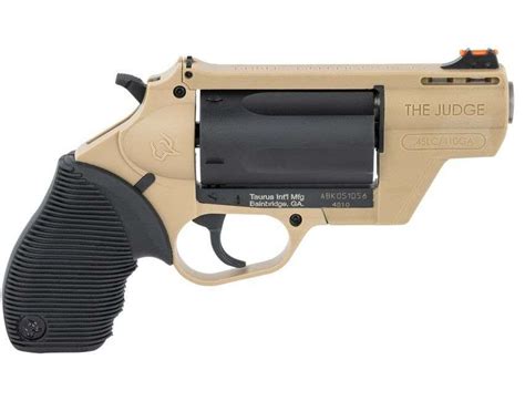 Taurus Public Defender Image 2