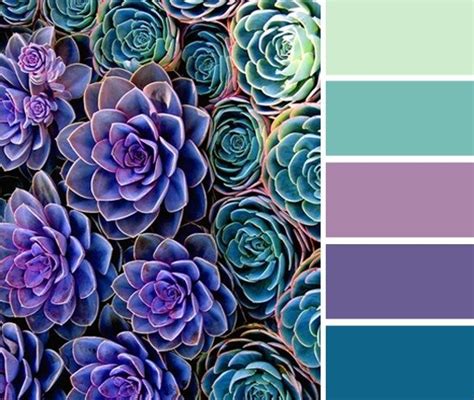 Teal and Purple Inspiration 4