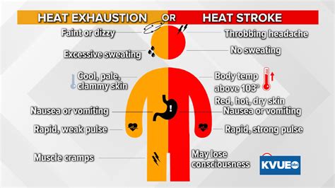 Temperature-Related Health Risks