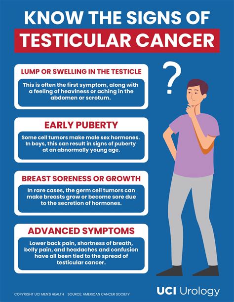 Testicular Problems Causes