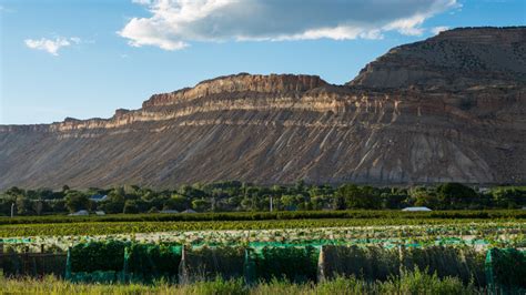 The Palette Grand Junction Co Wine Tasting