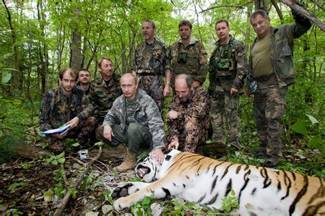 Scientists studying tiger behavior and habitat, shedding light on conservation efforts