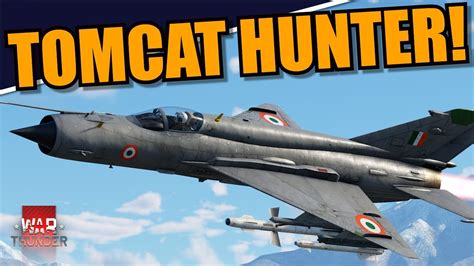 Tom cat hunting