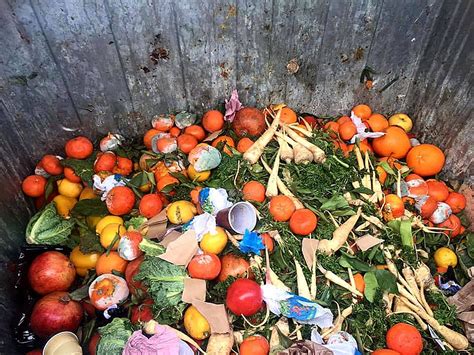 Tons and Tons of Food Waste