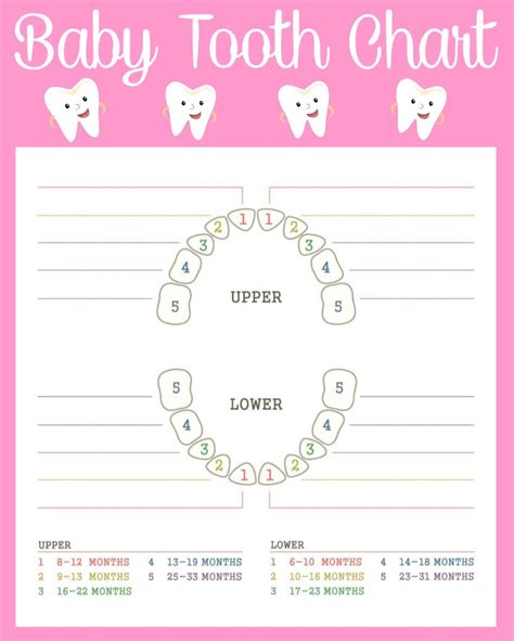 Tooth Chart Template for Kids