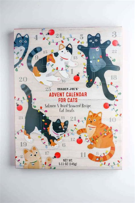 Trader Joe's cat calendar fun and games