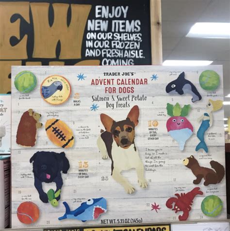 Trader Joe's cat calendar whiskers