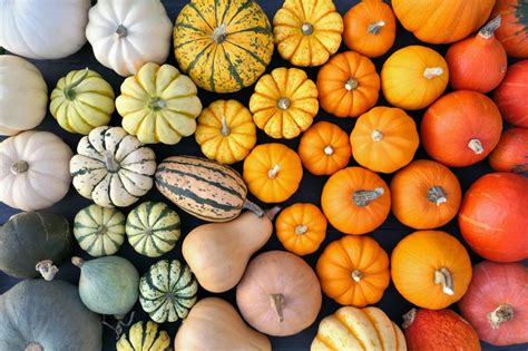 Traditional Pumpkin Colors