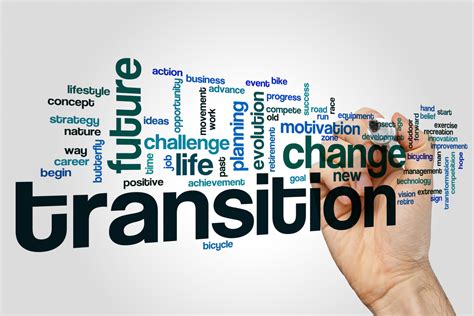 Description of Transition Strategies