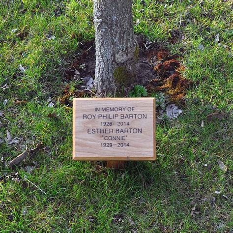 Tree Dedication in Memory of the Deceased