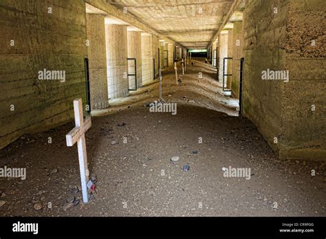 Trench of Bayonets Image 10