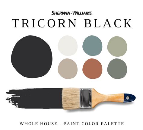 Tricorn Black Color Palette Inspiration