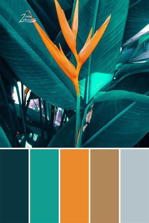 Tropical vintage color palette nature inspiration