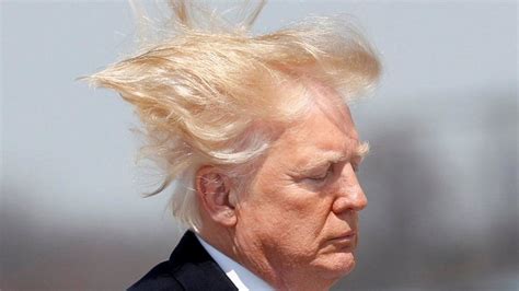 Donald Trump's hair blowing in the wind