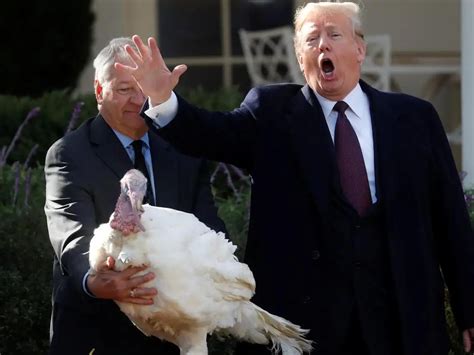 Trump Turkey Image 1