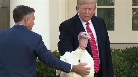 Trump Turkey Image 2