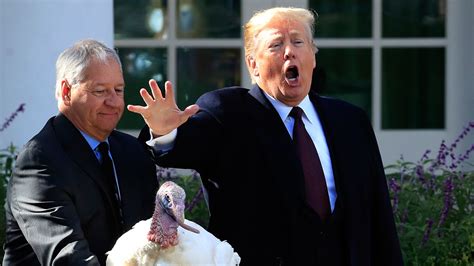 Trump Turkey Image 3