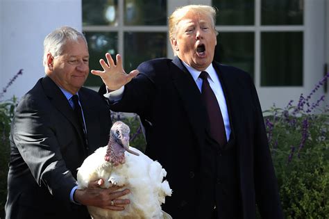 Trump Turkey Image 5