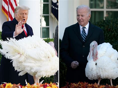 Trump Turkey Image 6