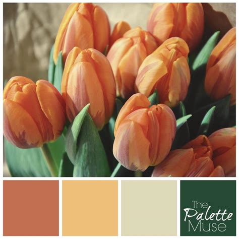 Tulip color palette