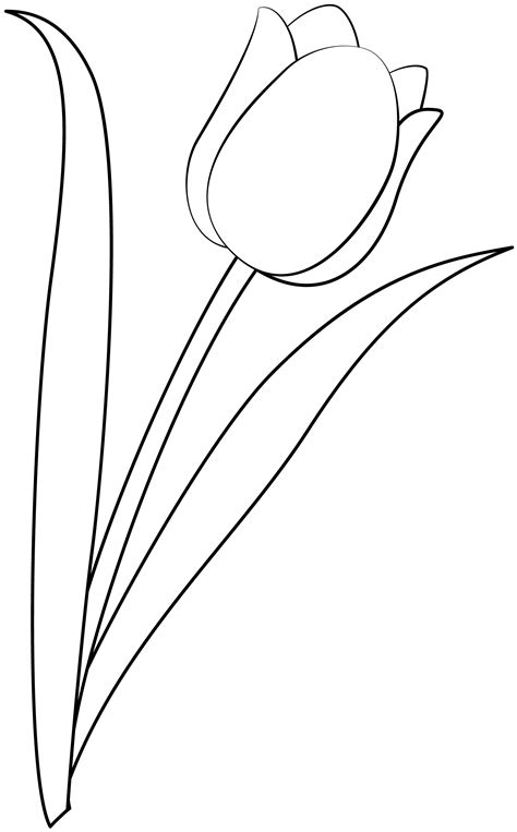 Tulip Printable Flower