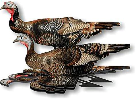 Turkey Decoys for Hunting