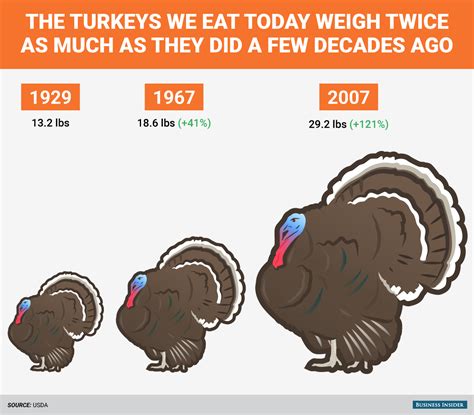 Turkey Evolution